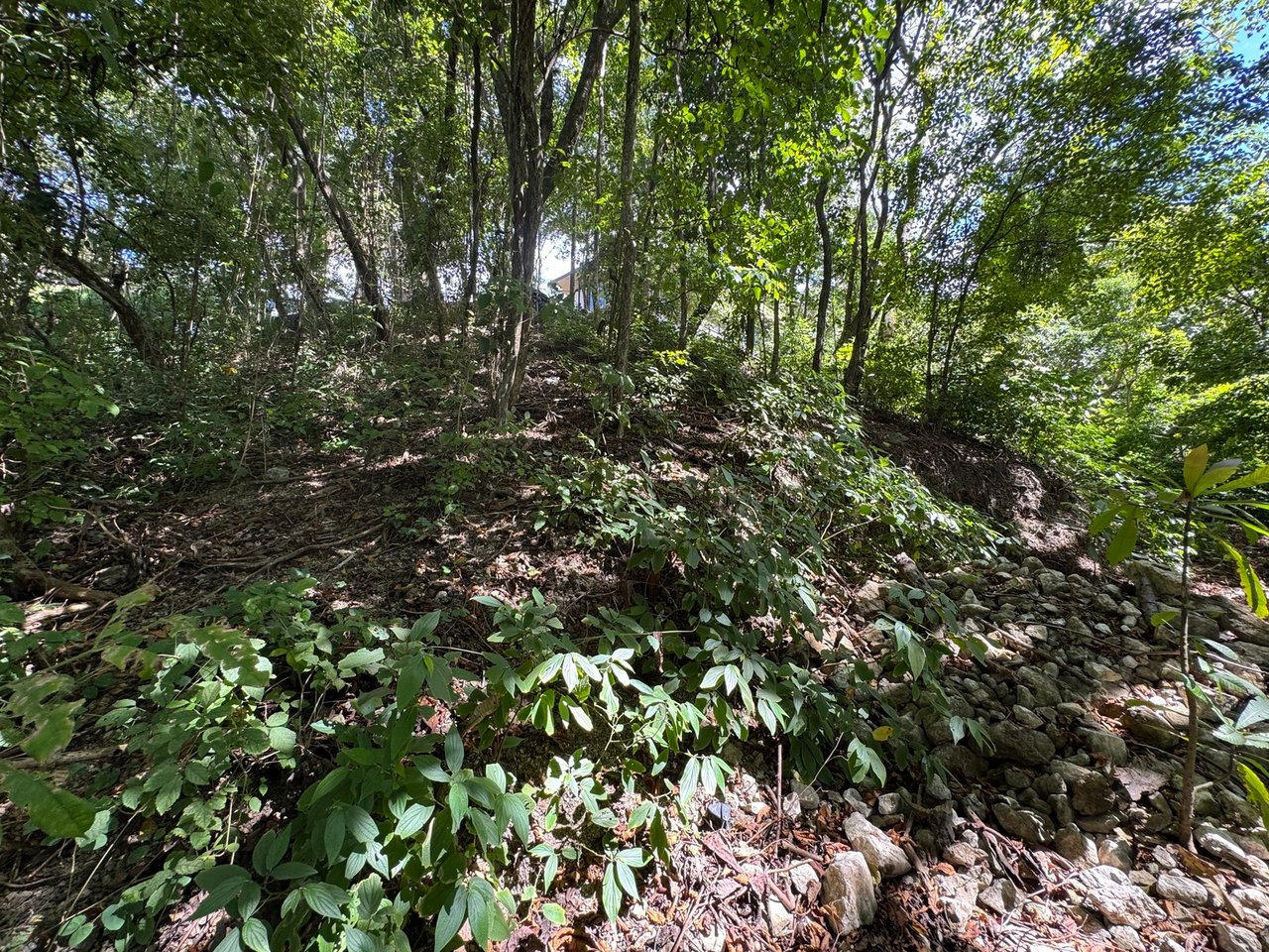 Commercial Ocean View Lot, Santa Teresa, Puntarenas