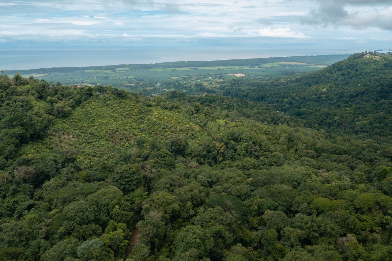 Modern Rainforest Estate, Manuel Antonio, Puntarenas