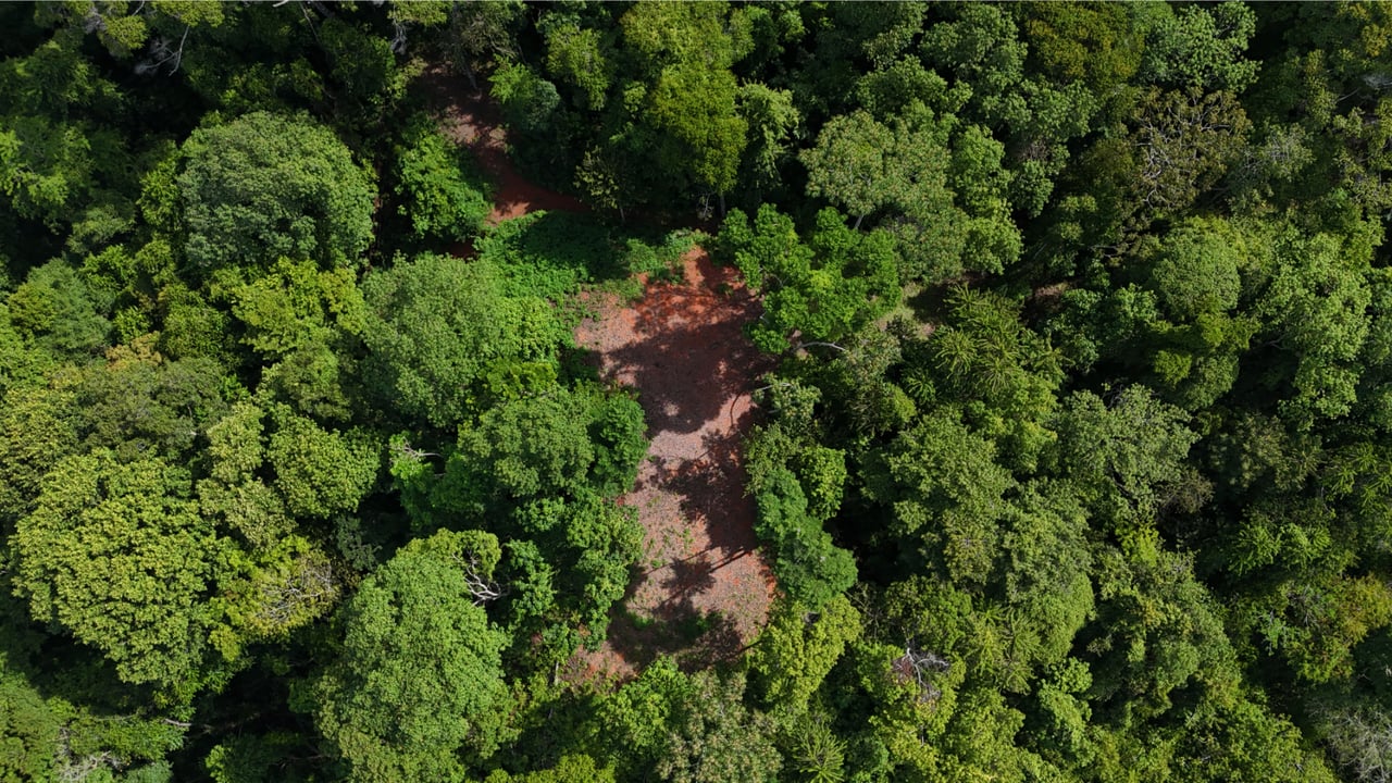 Secluded Ocean View Development Land, Ojochal, Puntarenas