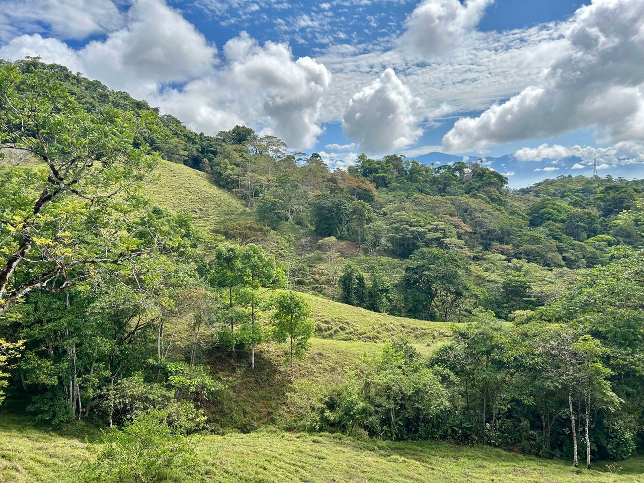 Hidden Gem: Serene Farm Retreat with Majestic Views in Costa Rica