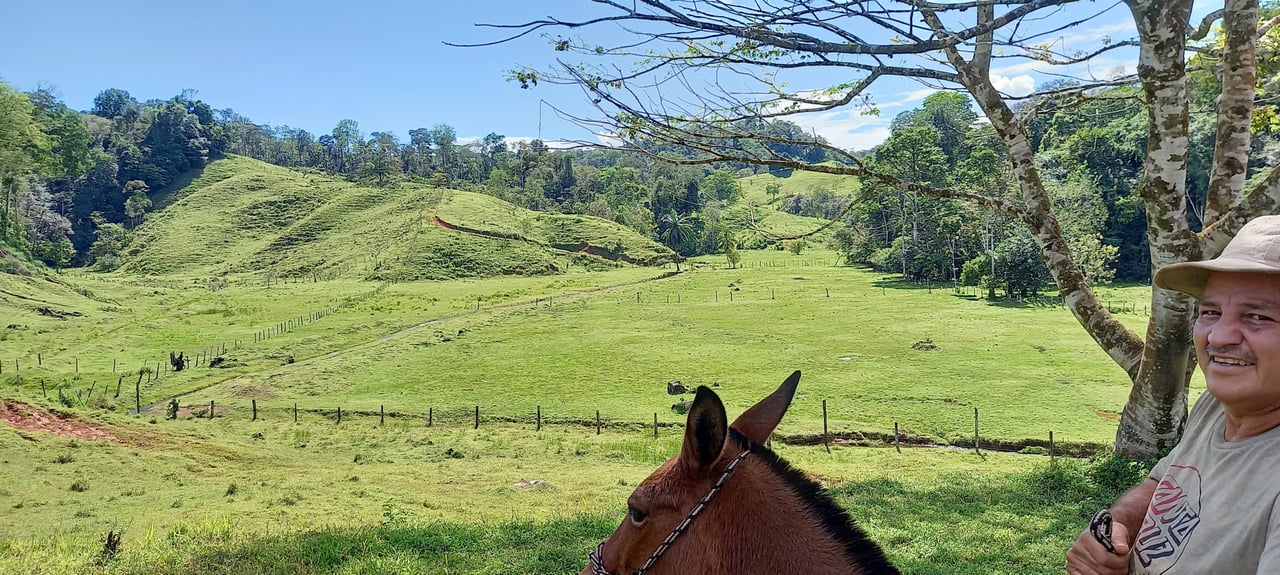 Osa Peninsula Magic 