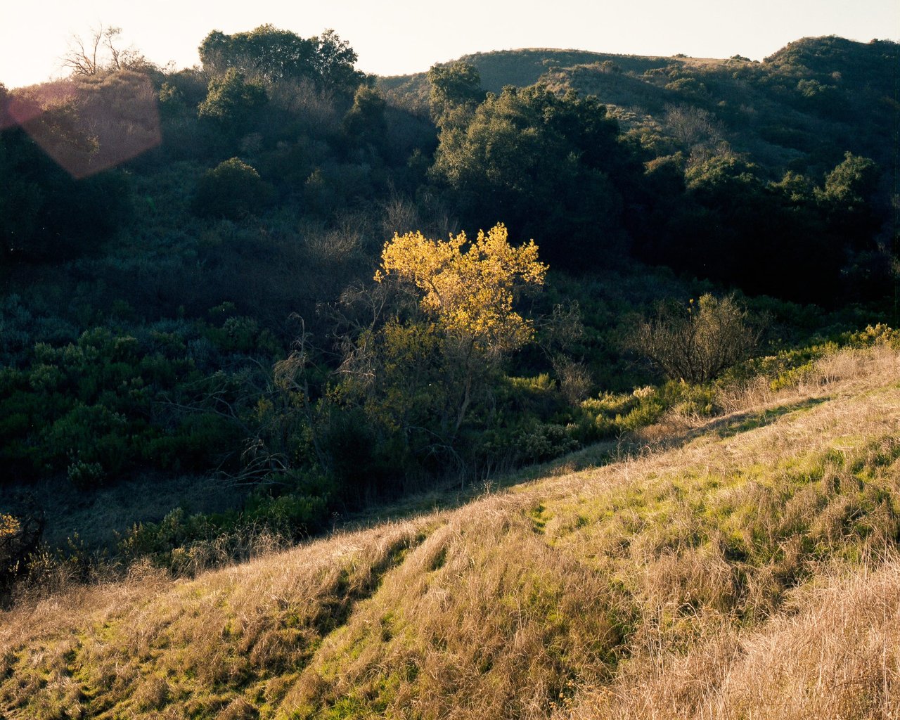 TOPANGA