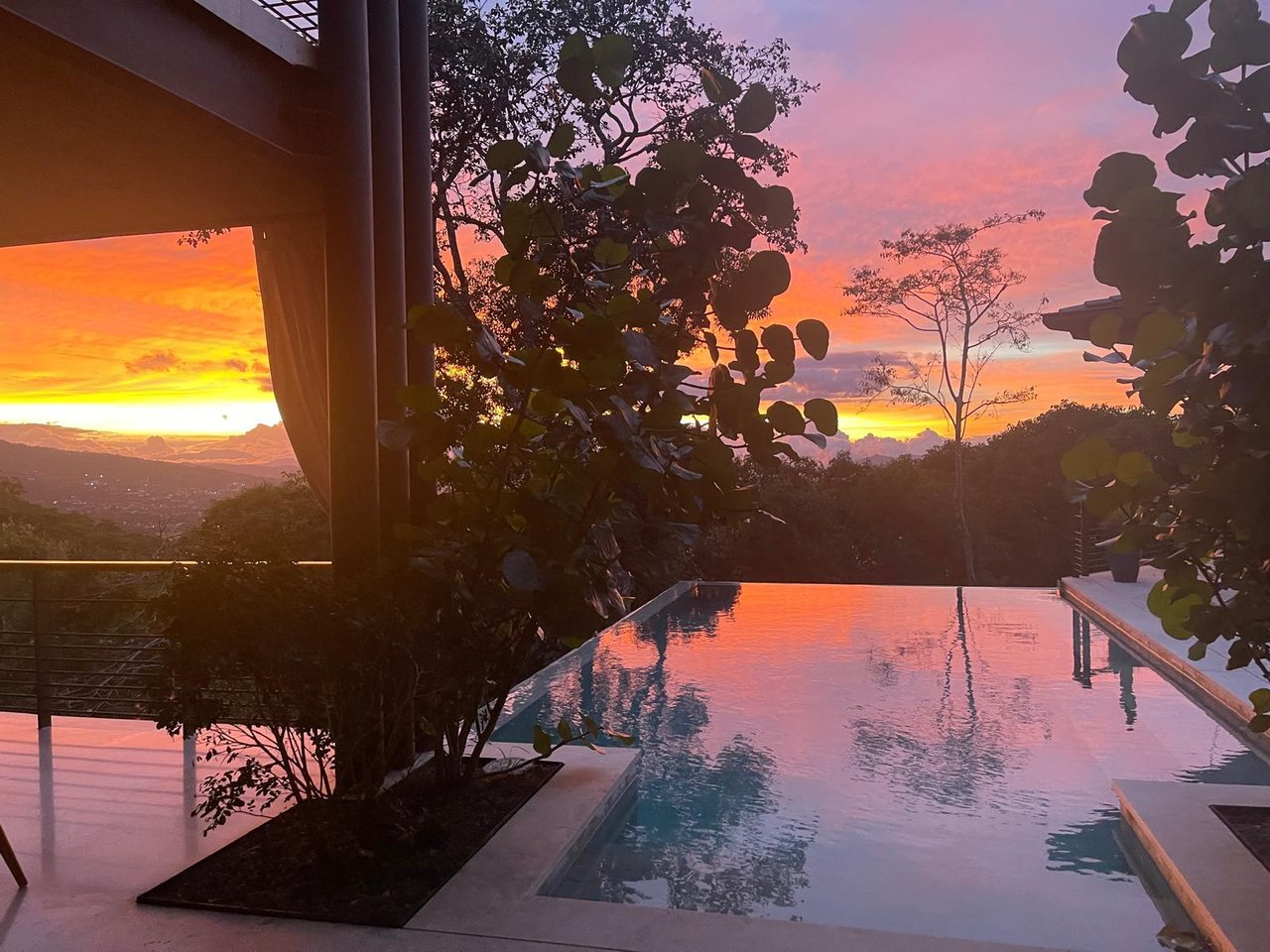 Modern Forest Infinity Pool Estate, Santa Ana, San Jose