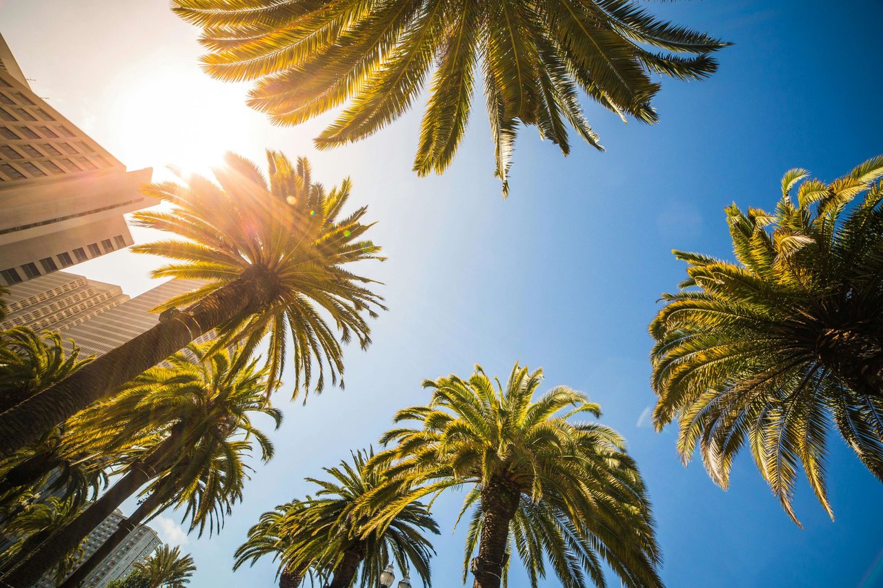 Fun Out of the Sun: 10 Best Indoor Things to Do in Palm Beach County
