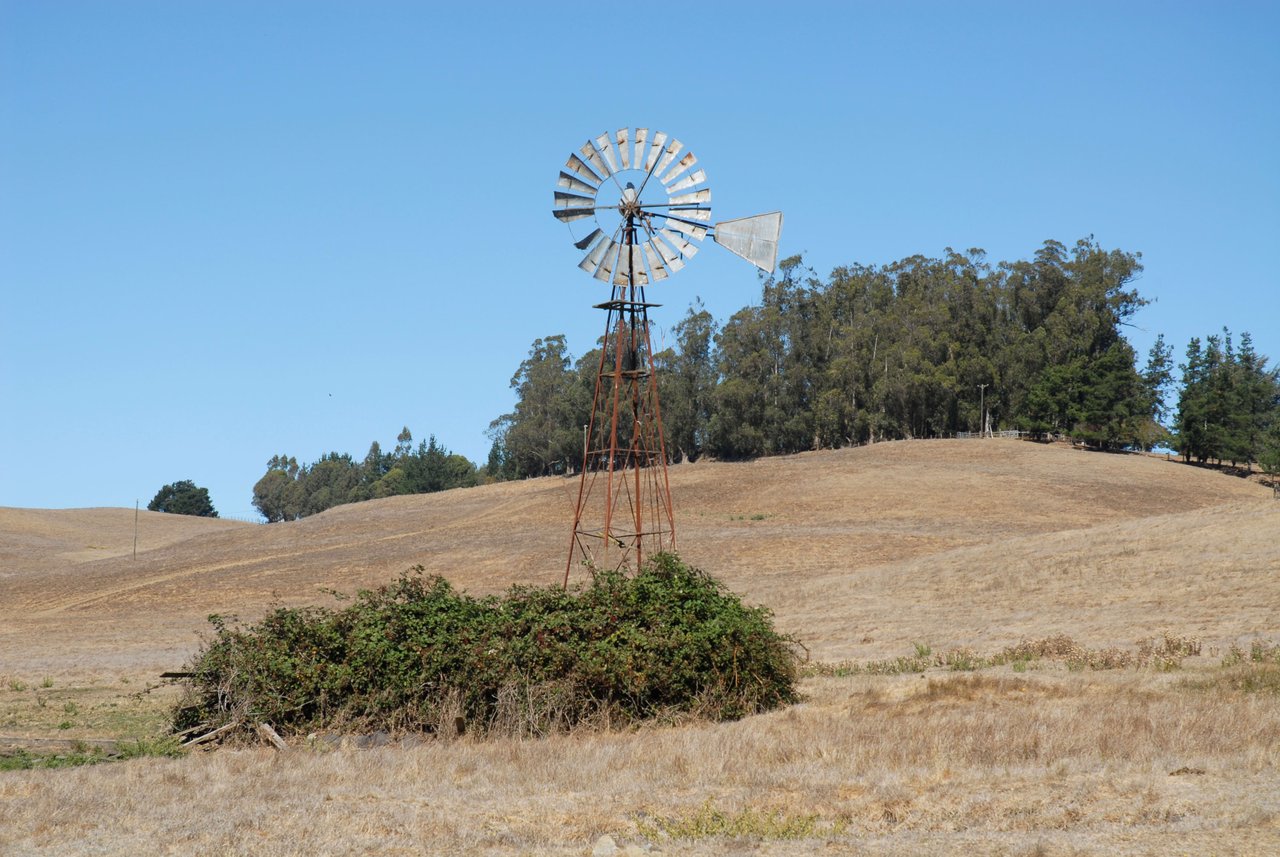 Cotati