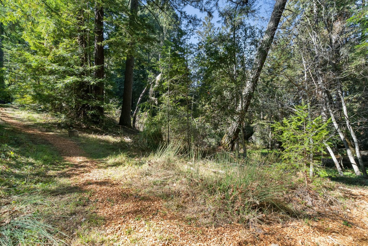 6121 Fern Flat Road