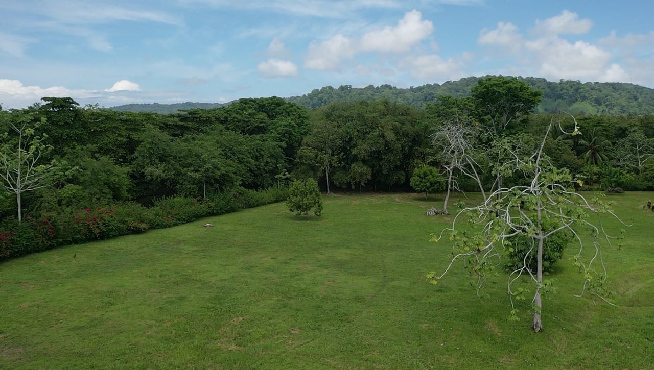 Titled Beachfront Development Land, Osa, Puntarenas