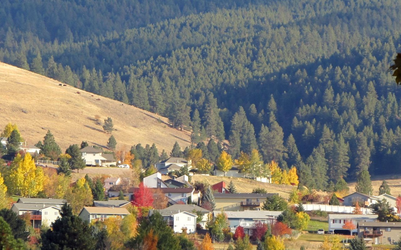 A vibrant fall landscape featuring a residential area nestled at the base of a large, tree-covered mountain.