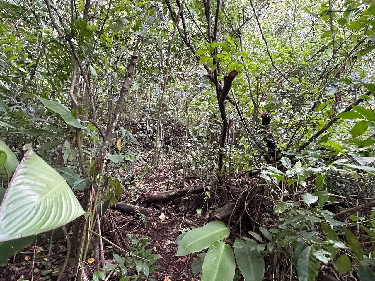 Panoramic View Buildable Land, Escazu, San Jose