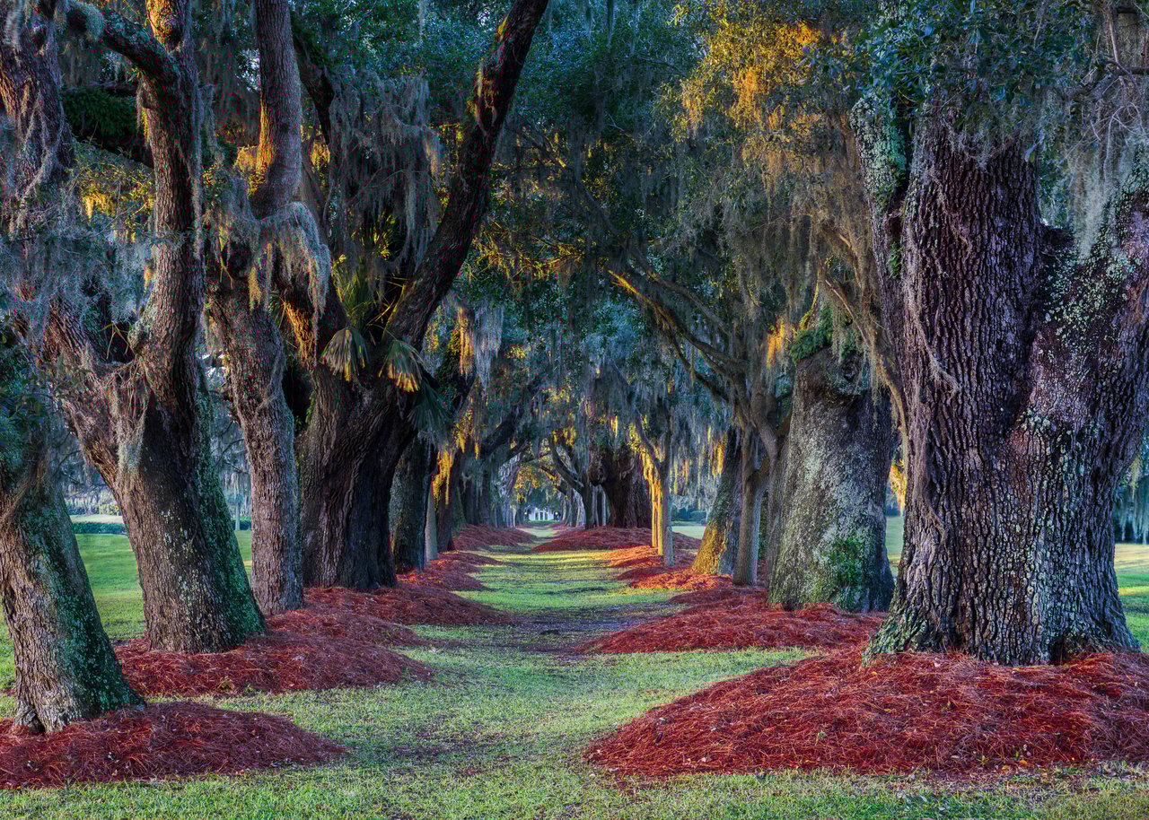 Sea Island