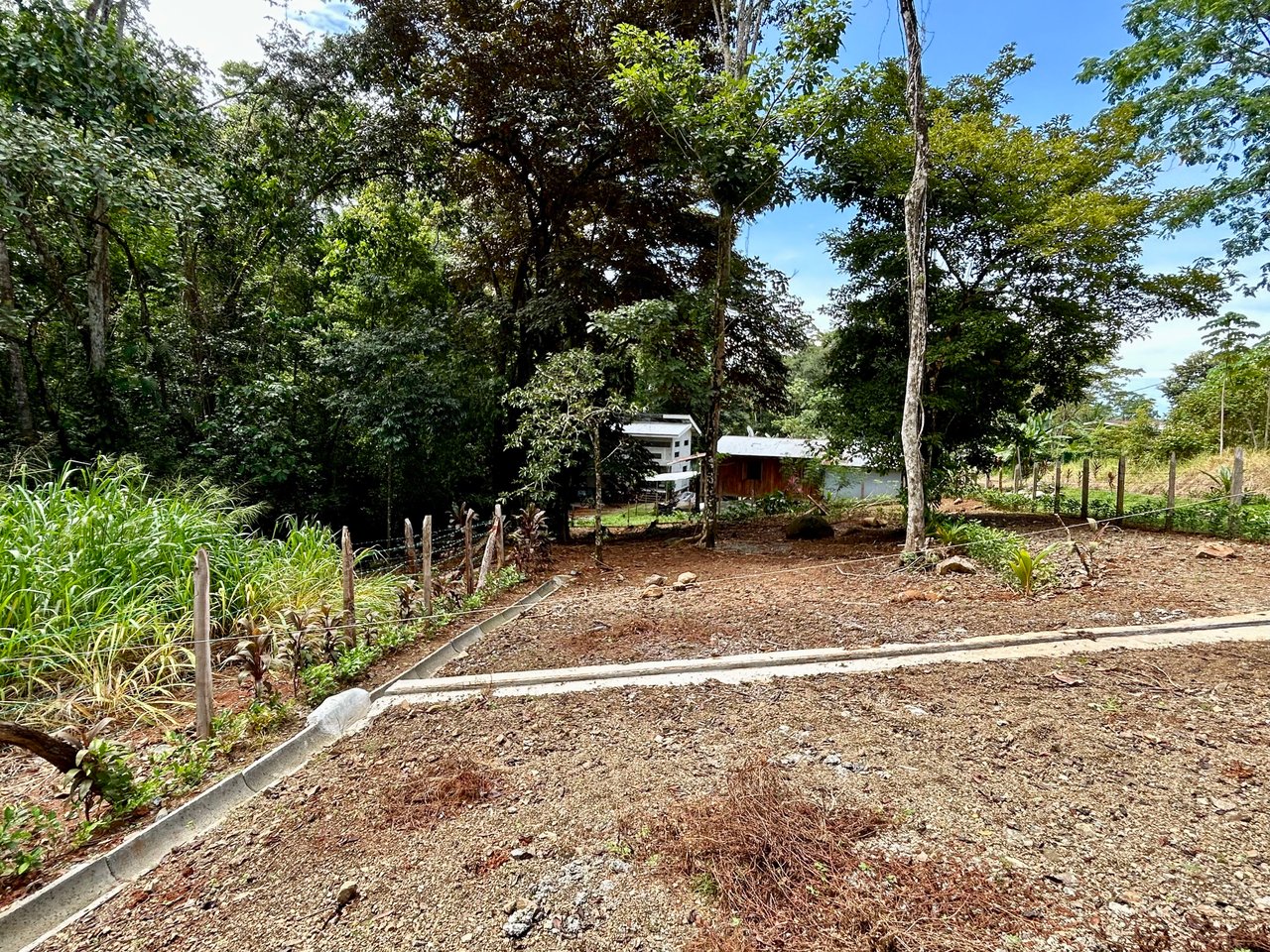 Jungle Side Lots in Uvita, Walking Distance to Amenities