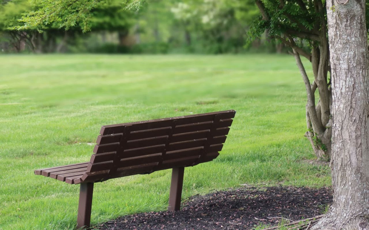 A Guide to La Cañada Flintridge Parks