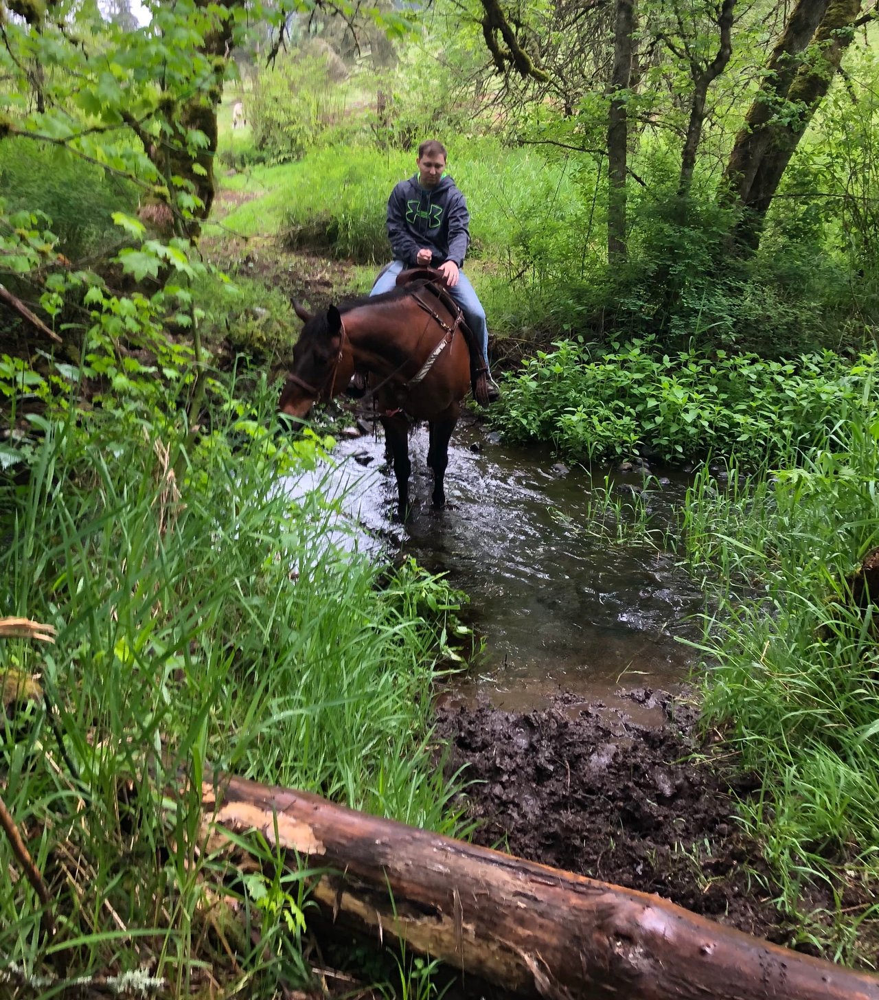 Blue Diamond Ranch