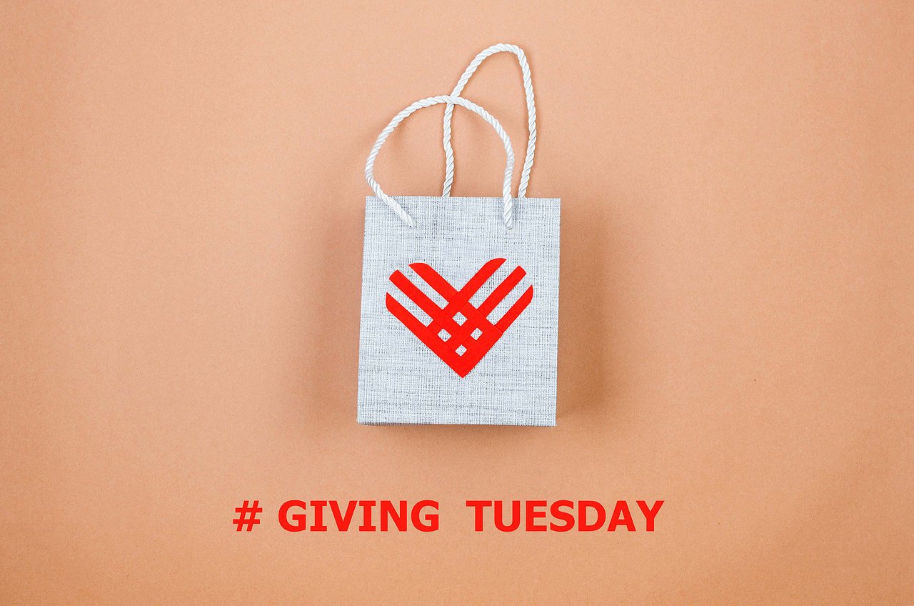 Our favorite nonprofits for Giving Tuesday