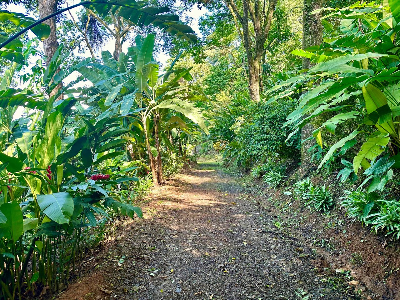 BEST OCEAN VIEW LOT Including WHALE TAIL BEACH, CAÑO ISLAND and other ISLANDS!