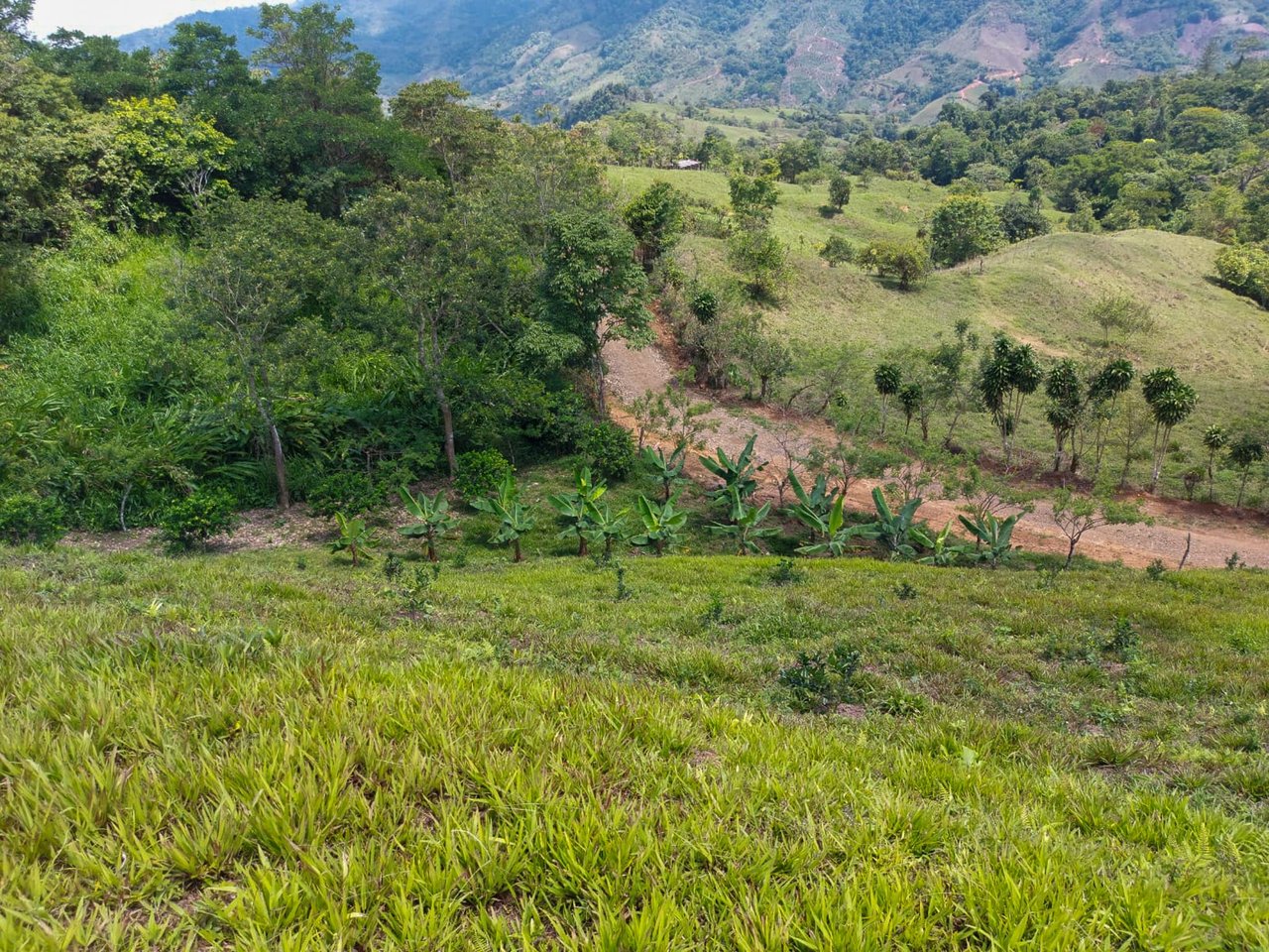 Ocean, Mountain and waterfall View Lot