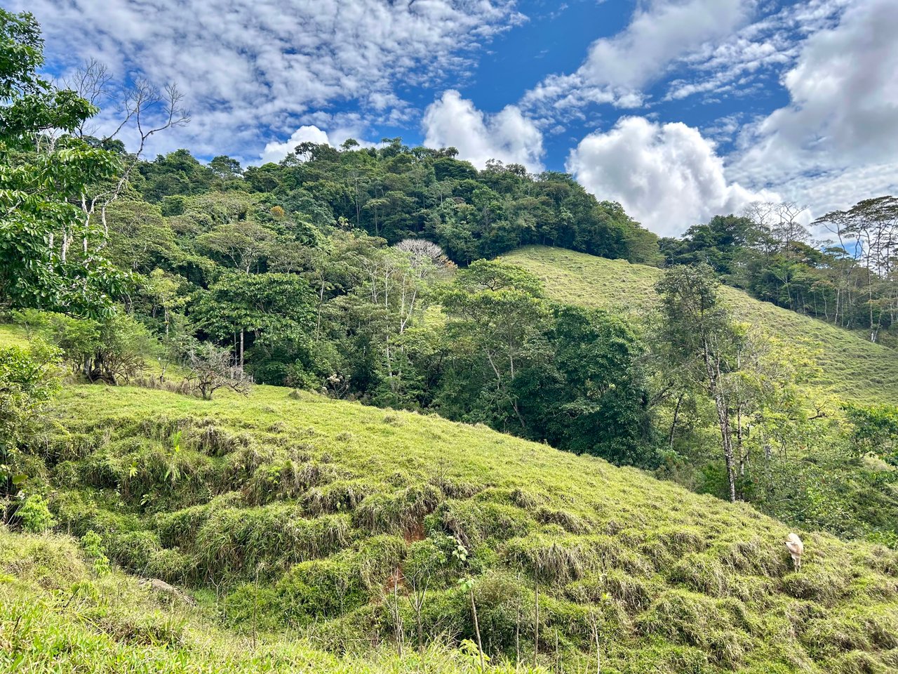 Hidden Gem: Serene Farm Retreat with Majestic Views in Costa Rica