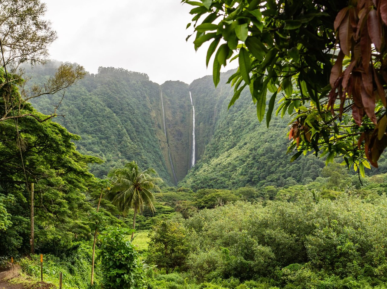 Life on the Big Island - What You'll Be Grateful for