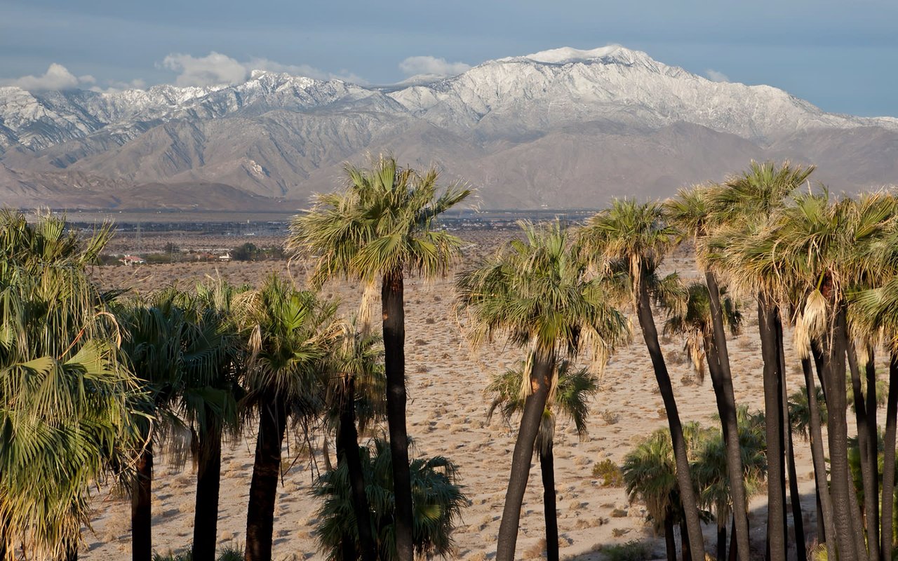 Things to do in Coachella Valley During the Summer