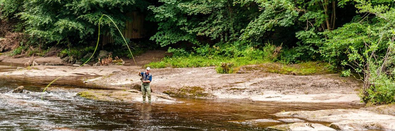 Spring Fly Fishing in Colorado