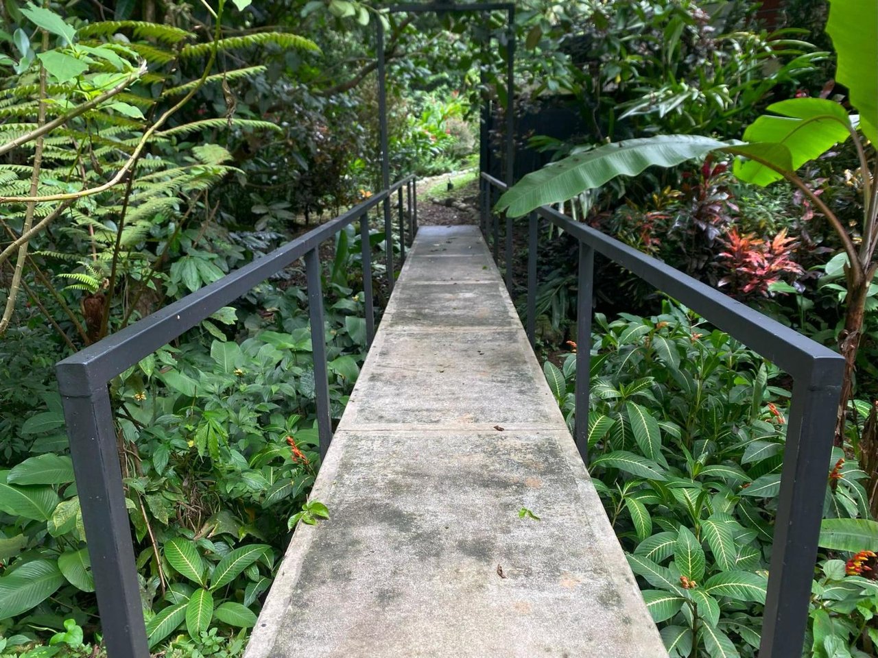 Riverside Boutique Villa Resort, Ojochal, Puntarenas