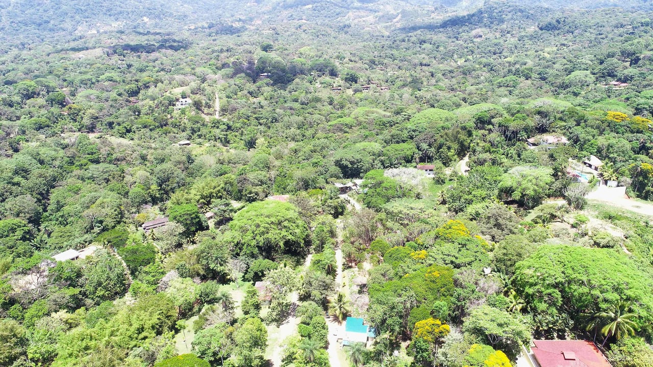 Over One Acre Attractive Lot on the Popular PEREZOSO Road.