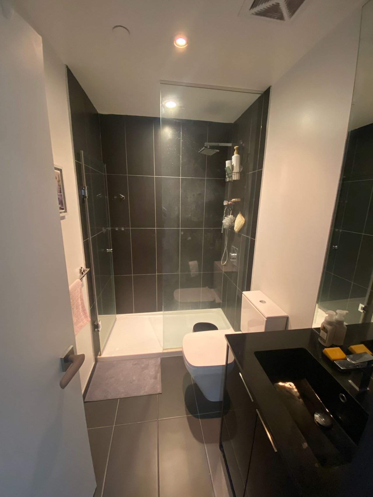 70 Temperance St, Unit 4517
