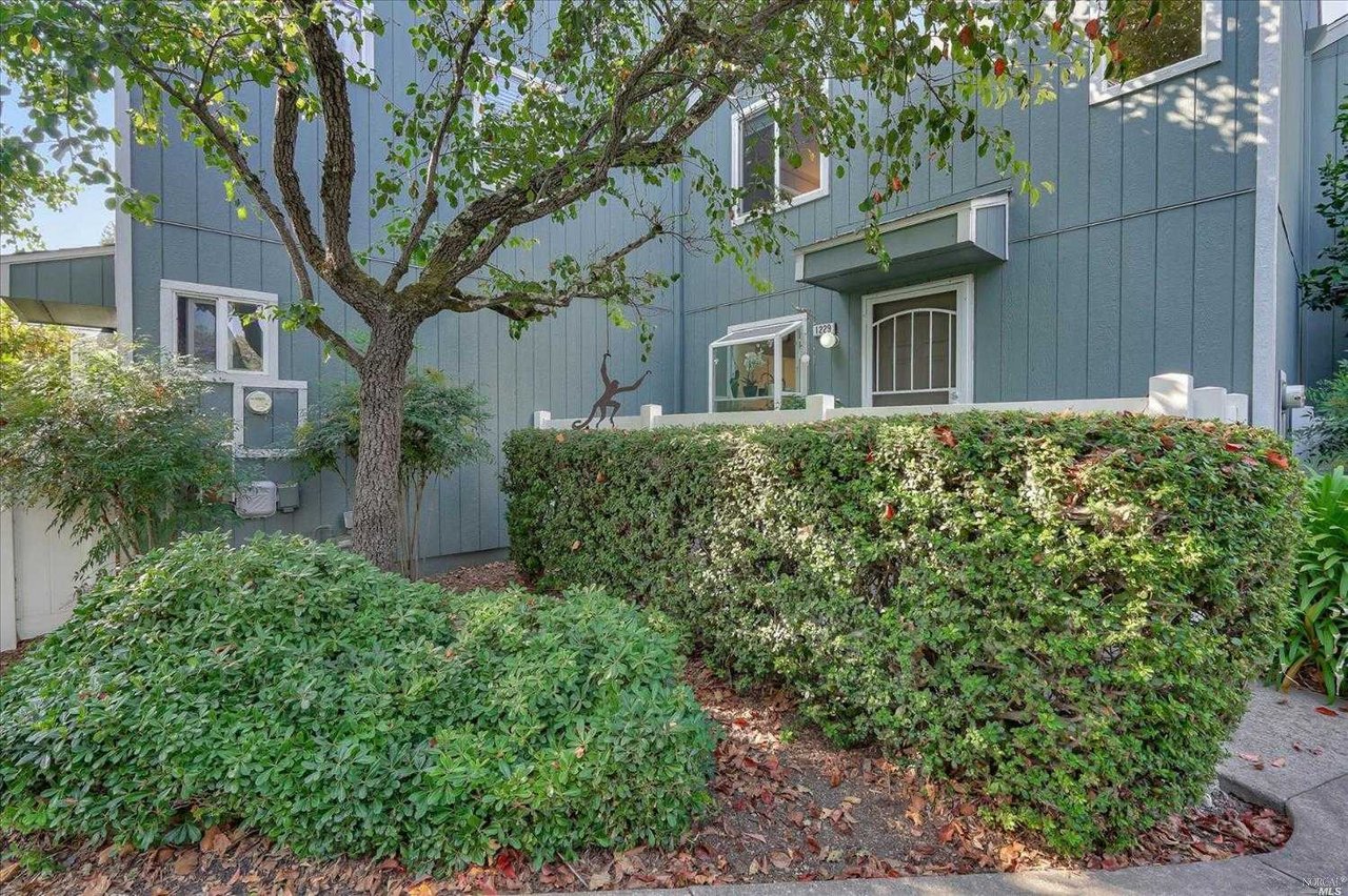 1229 Camino Corto Road