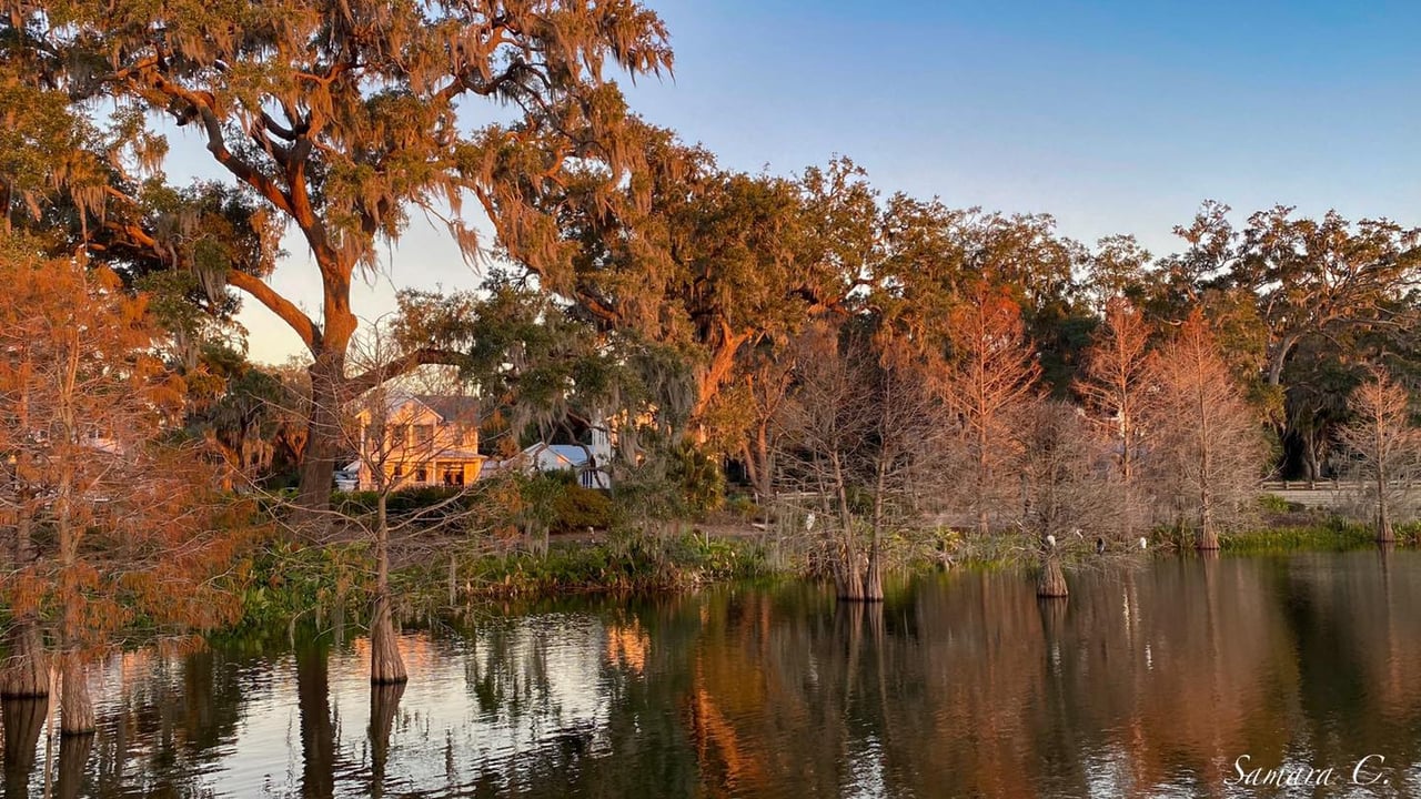 How to: Be A Fall Tourist in Your Own Town!