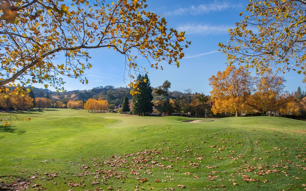 Drop Off Your Leaves for Free at a LeafDrop Sight Near You!