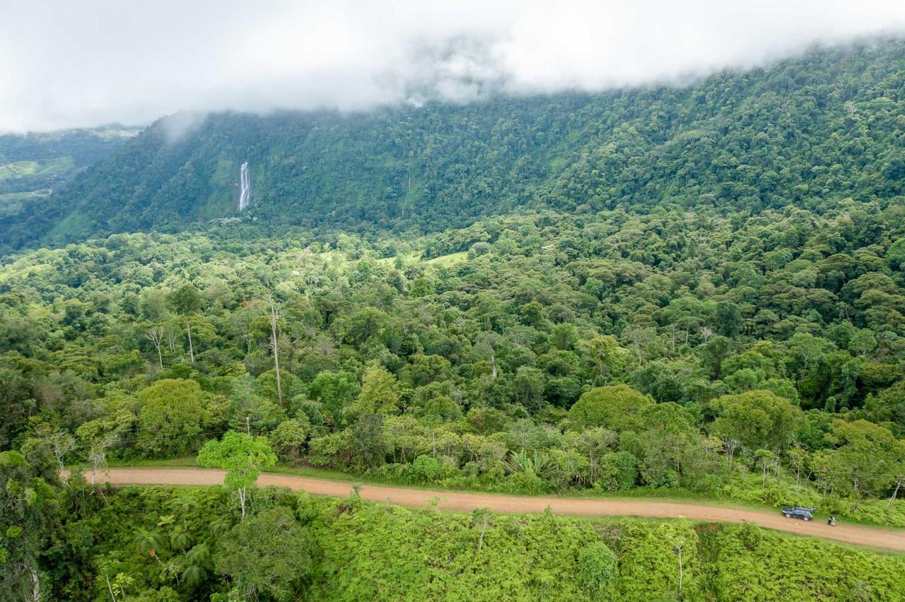 Diamante Waterfall Farm