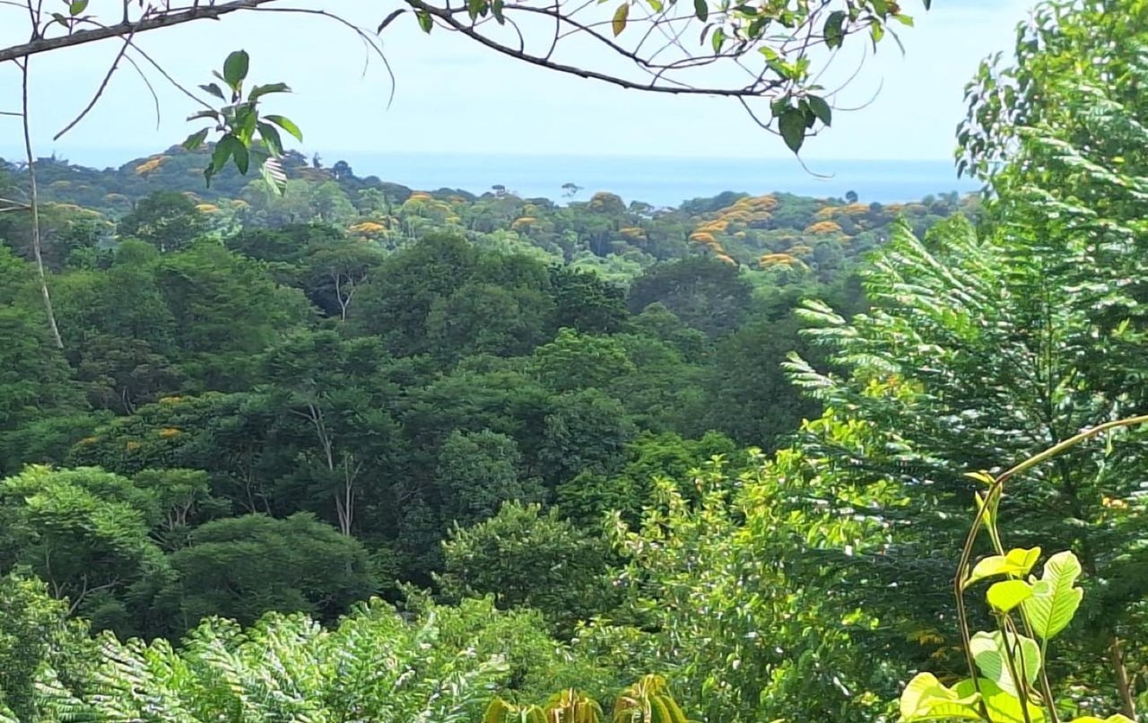 Usable Development Land, Ojochal, Puntarenas