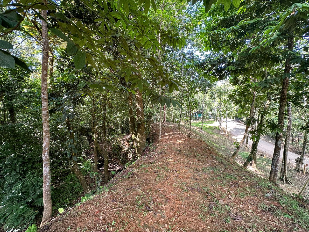 Elevated 2.2 Acres Jungle And Creek-Fronting Mountain View Lot In Ojochal