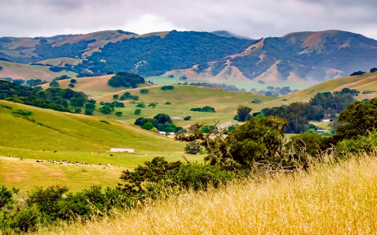 Petaluma