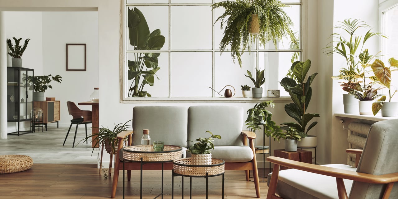 12 Essential Staging Secrets to Transform Your Home into a Market Sensation
