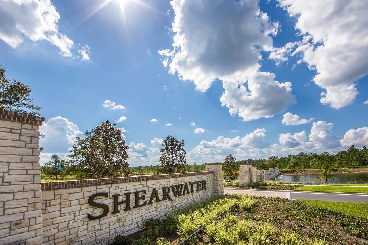 Shearwater