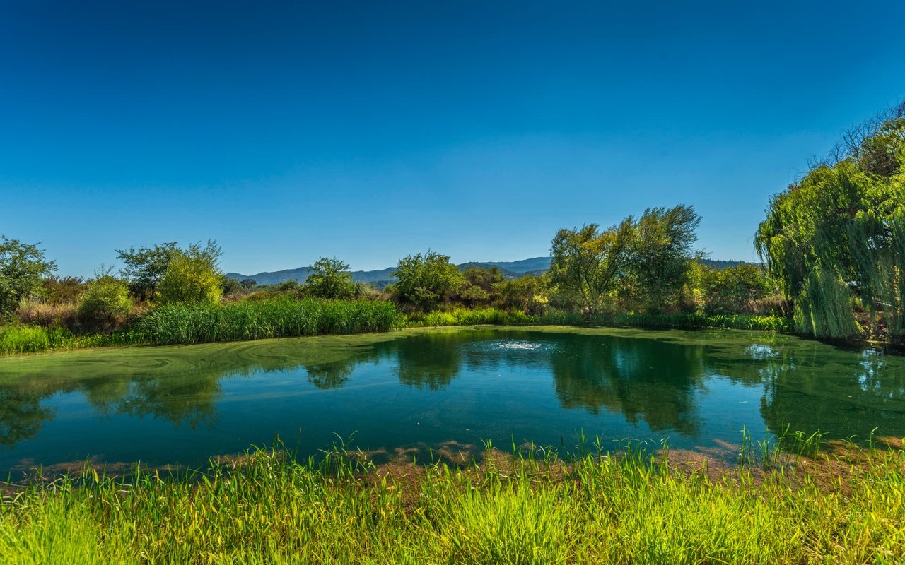 State Lane, Yountville