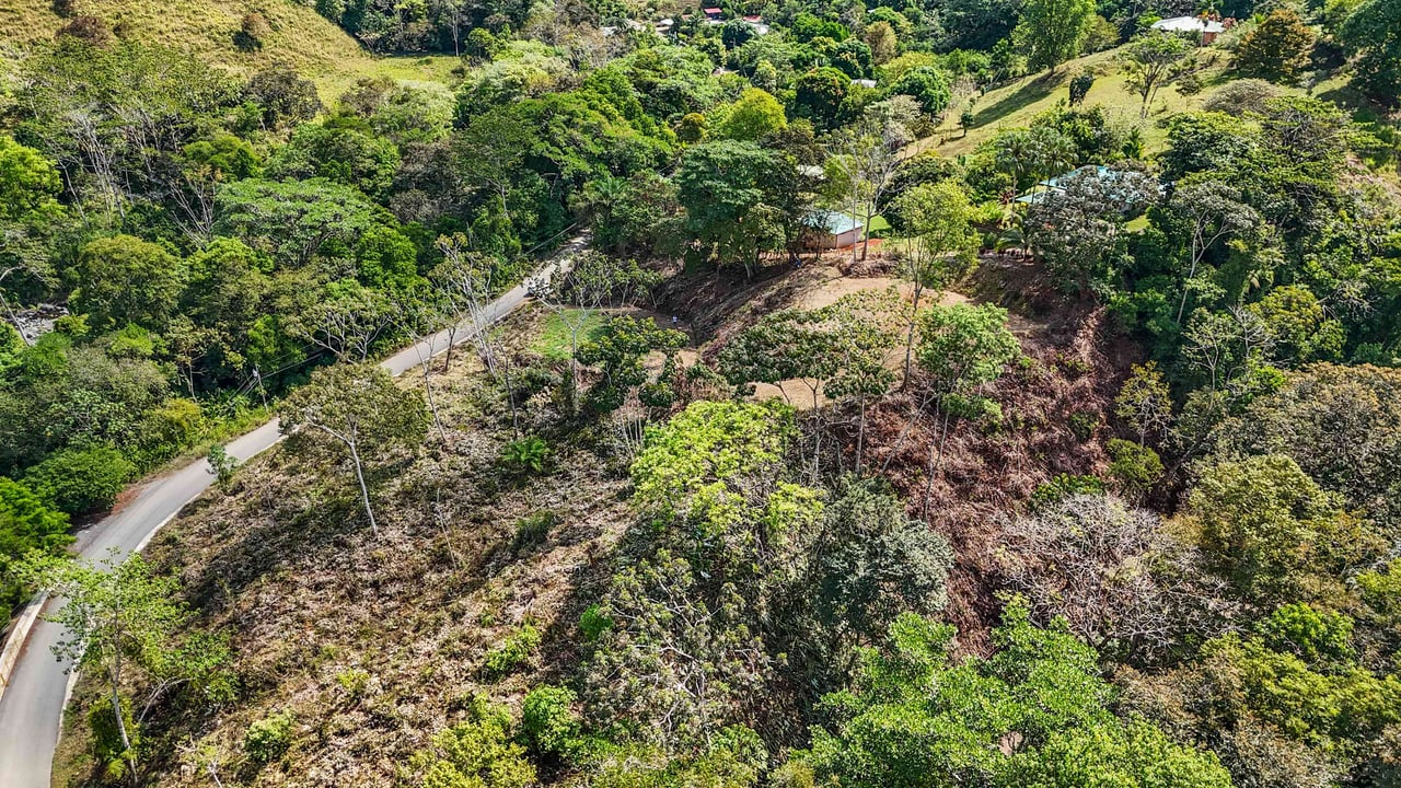 An elevated 1.2 acres lot with two plantels, panoramic mountain and jungle views.