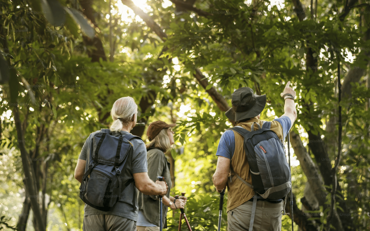 Best Activities in Fish Creek for Nature Lovers