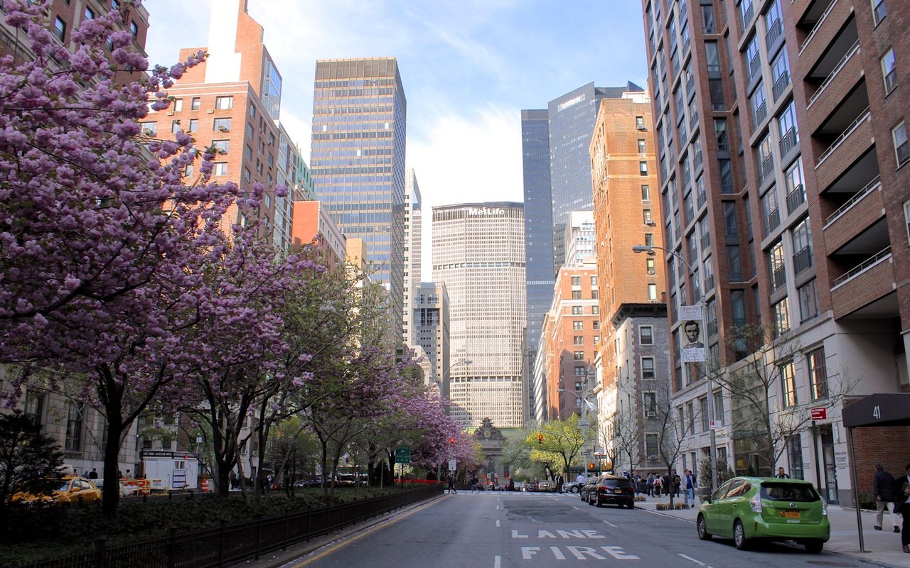 Elegran Insights: Weekly Manhattan & Brooklyn Market