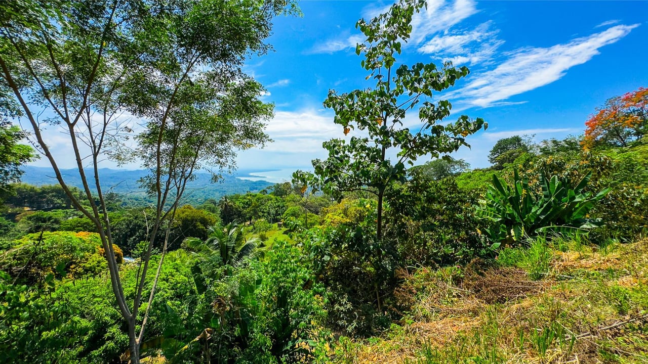Exclusive Ocean View Building Lot, Ojochal, Puntarenas