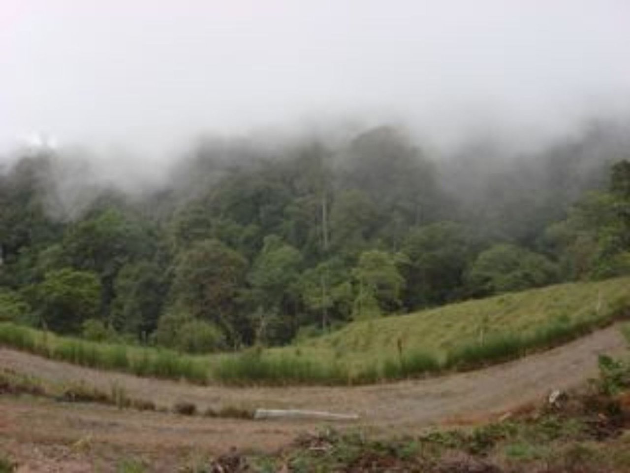 Ocean View Waterfall Land, Dominical, Puntarenas