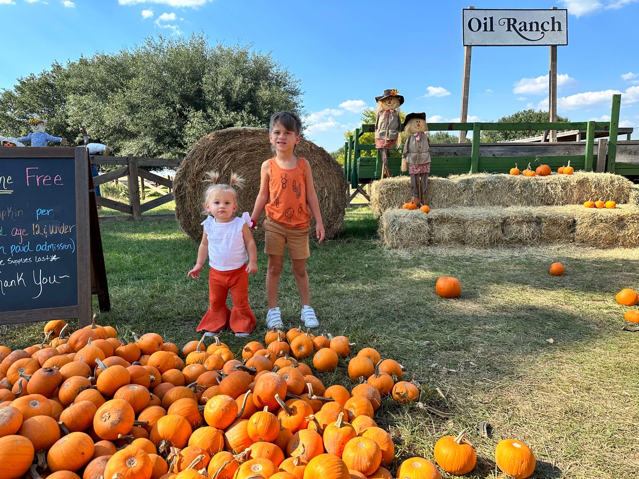 Best Pumpkin Patches in Houston | Hurley Homes Realty Group | Kristian ...