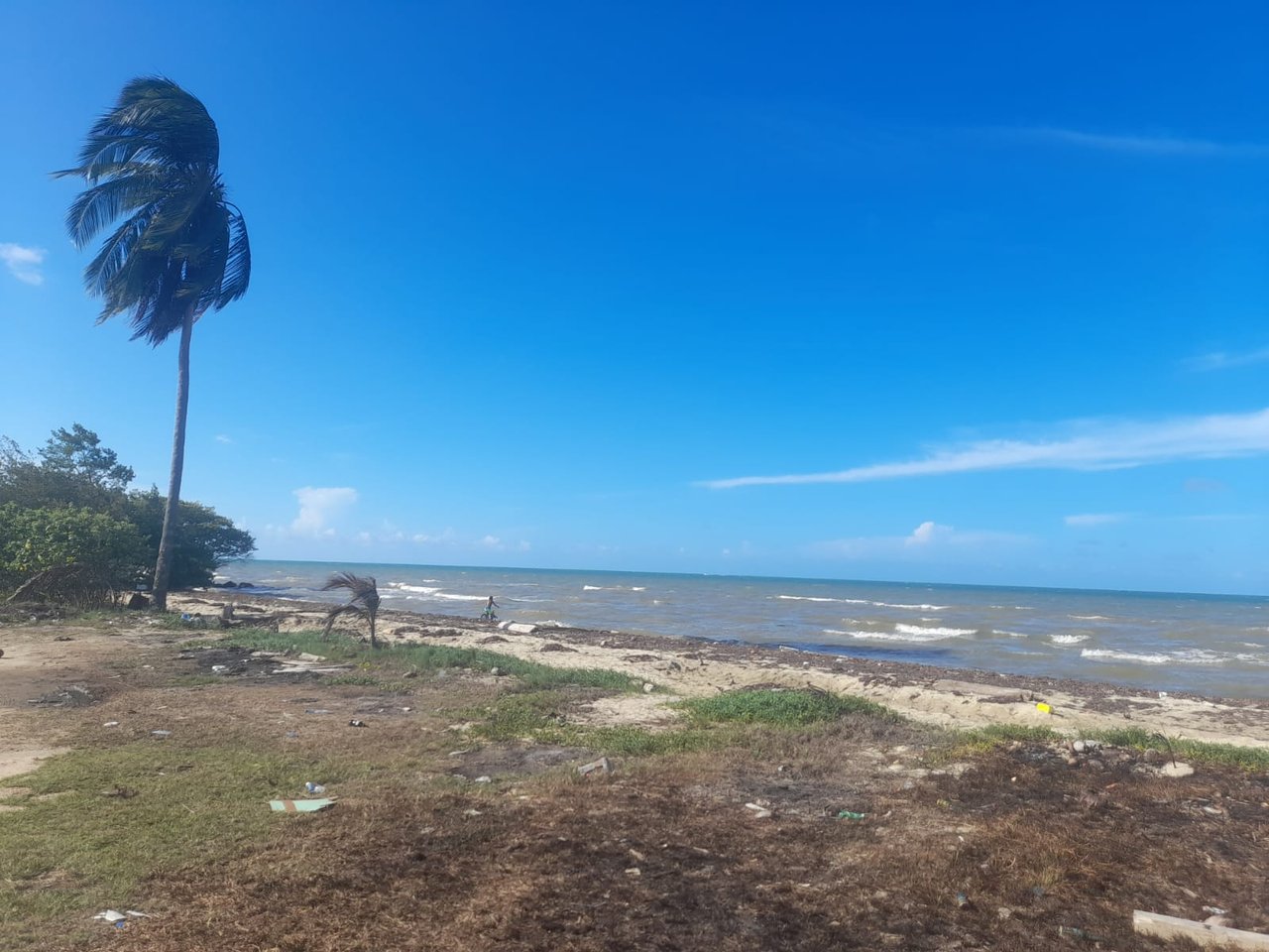 Charming 1.6 acre Caribbean Beachfront peninsular in Dangriga Town, Belize