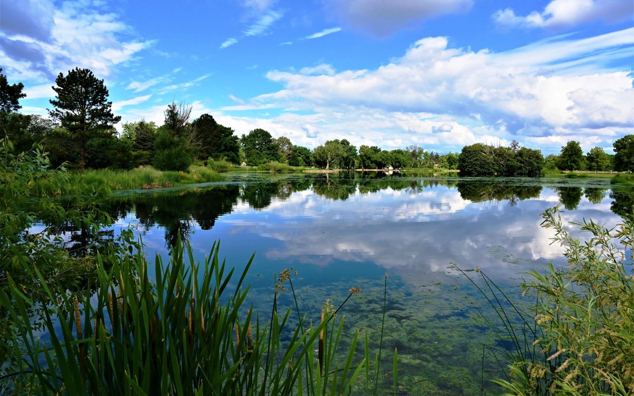 Wash Park (Washington Park)