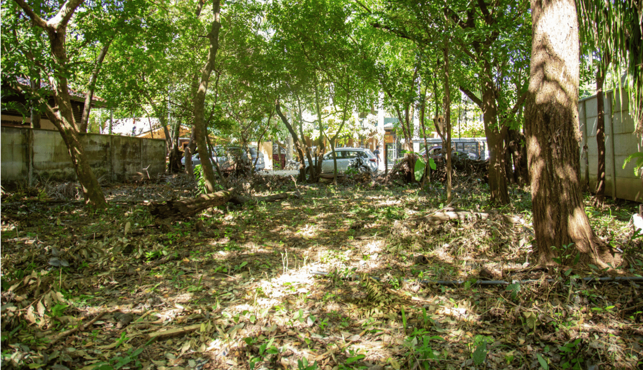 Refuge Bordering Commercial Land, Nosara, Guanacaste