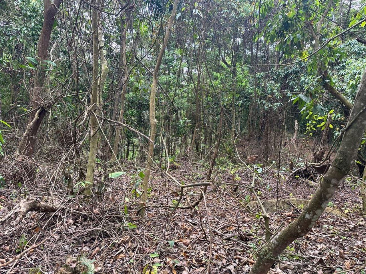 Prestigious Ocean View Development Land, Dominical, Puntarenas