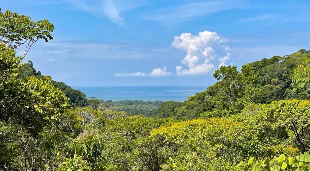 Ocean View Rainforest Estate, Ojochal, Puntarenas