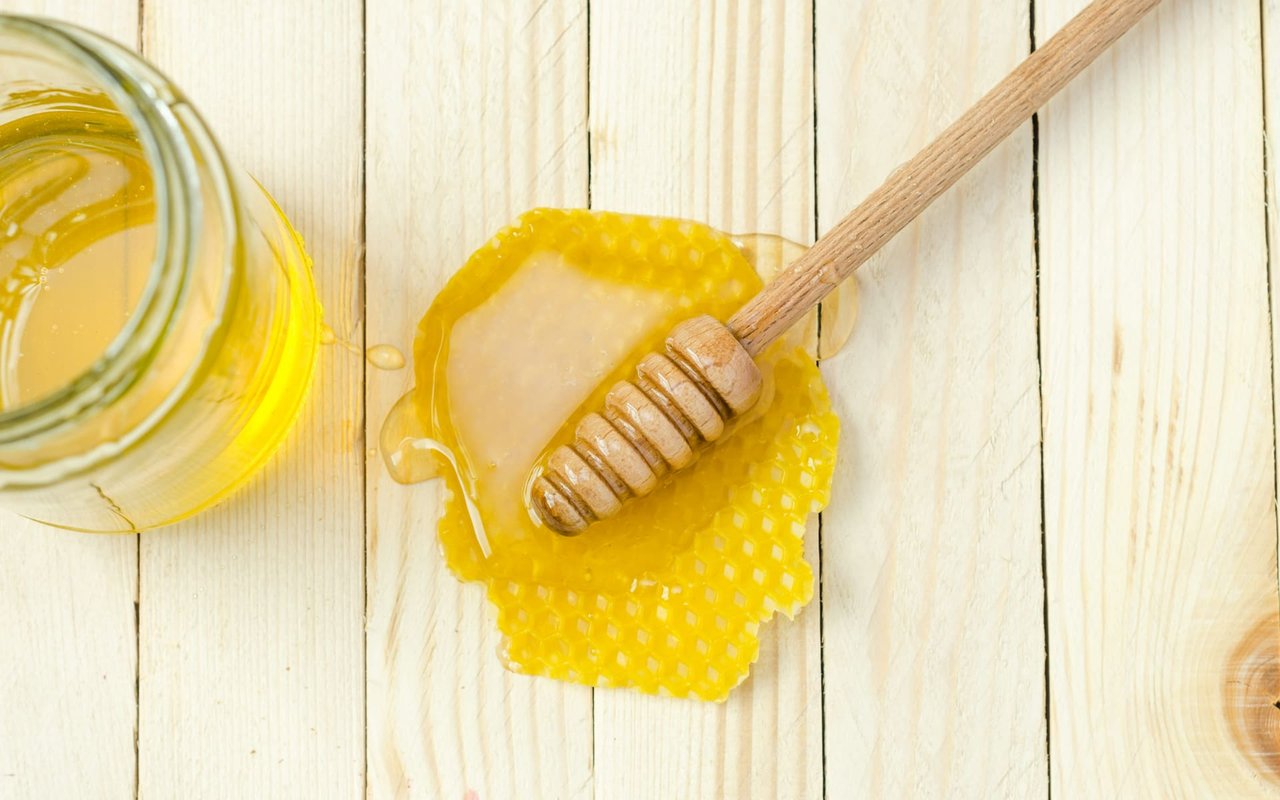 The Buzz About the Honey Bee