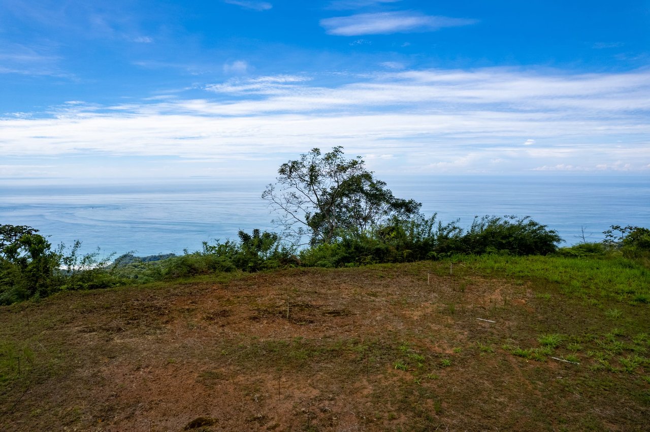 Iconic Whales Tail View in Premium Gated Community